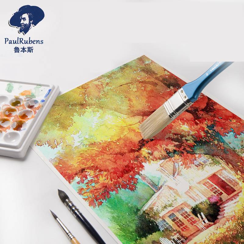 Paul Rubens Professional Water - Ink Blotter Paper 评论和价格