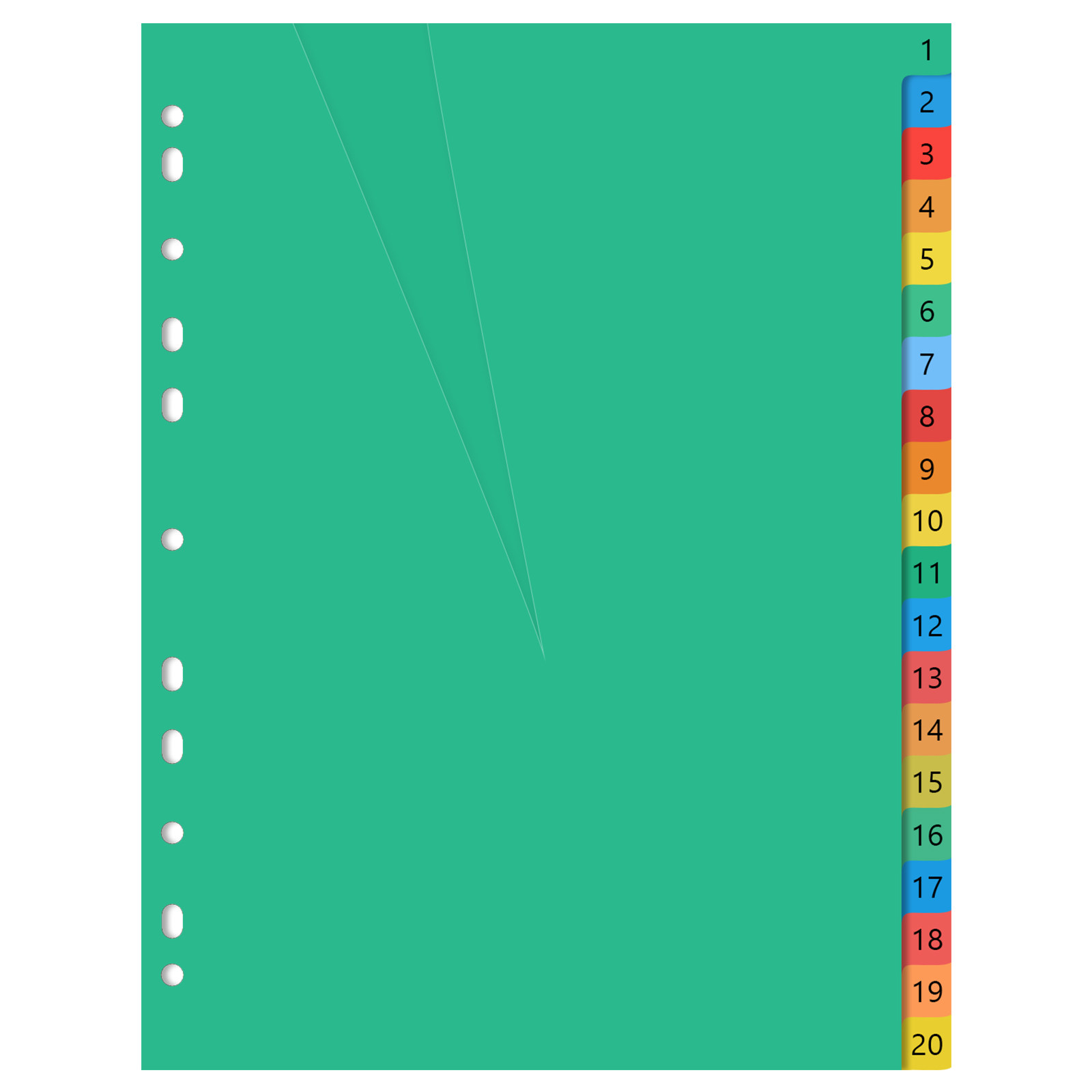 20 Pages A4 Colorful Plastic T - Tab Divider A4 评论和价格